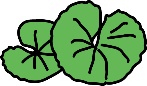 Centella Asiatica
