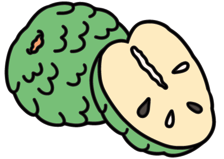 Cherimoya Fruit