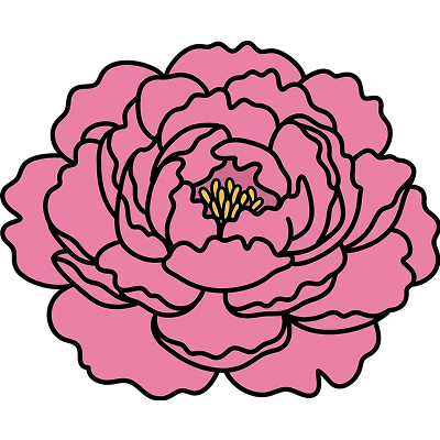 Chinese Peony