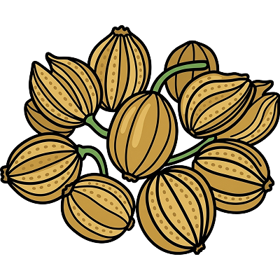 Cnidium Fruit
