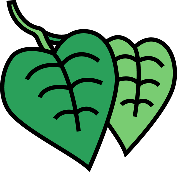 Heartleaf