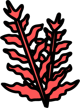 Red Algae